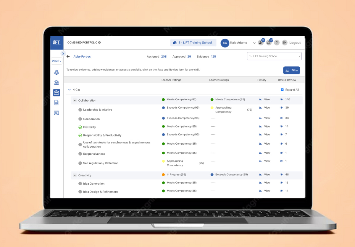 Combined portfolio view — big picture progress across all skills